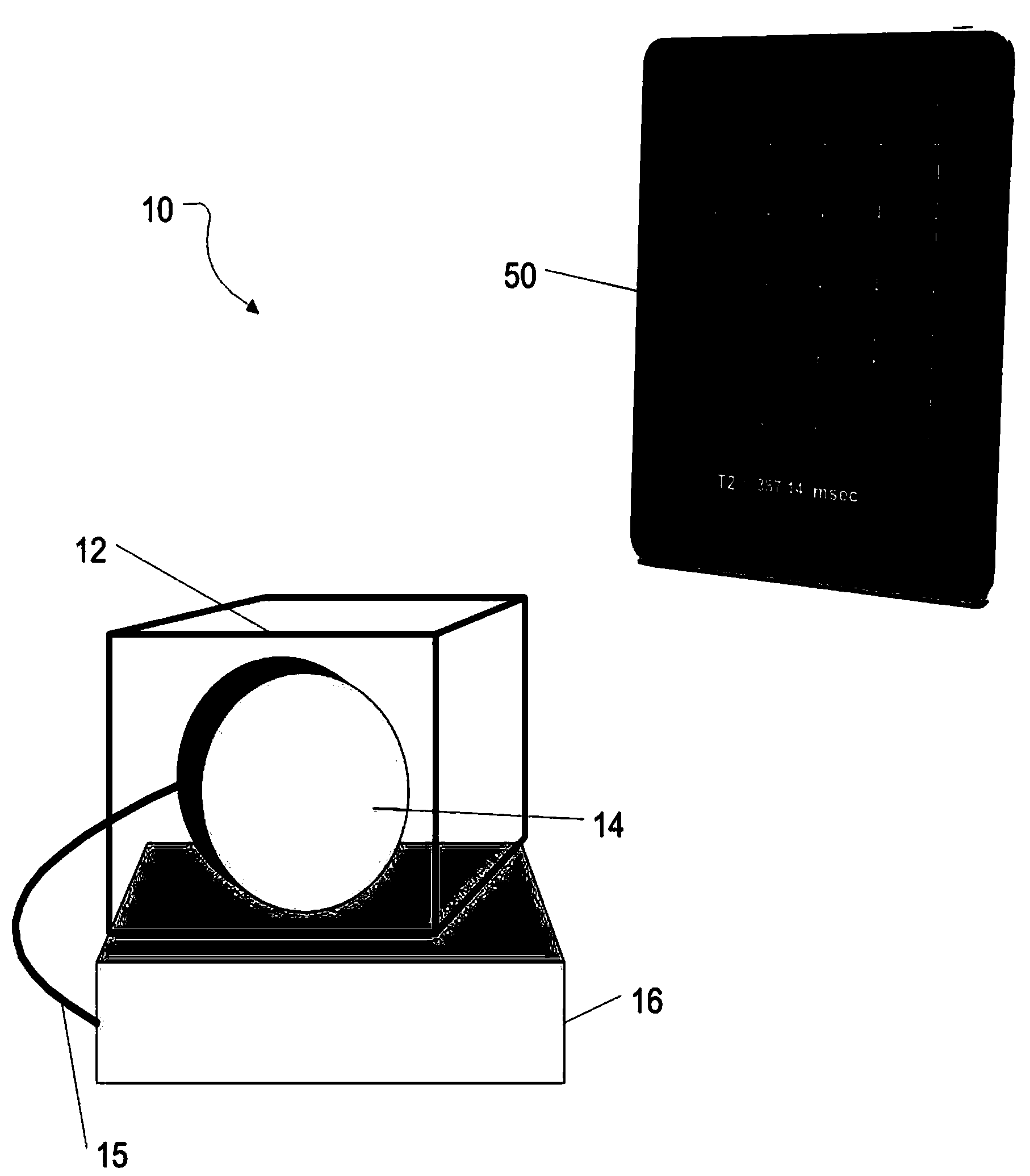 Detection of targets using magnetic resonance