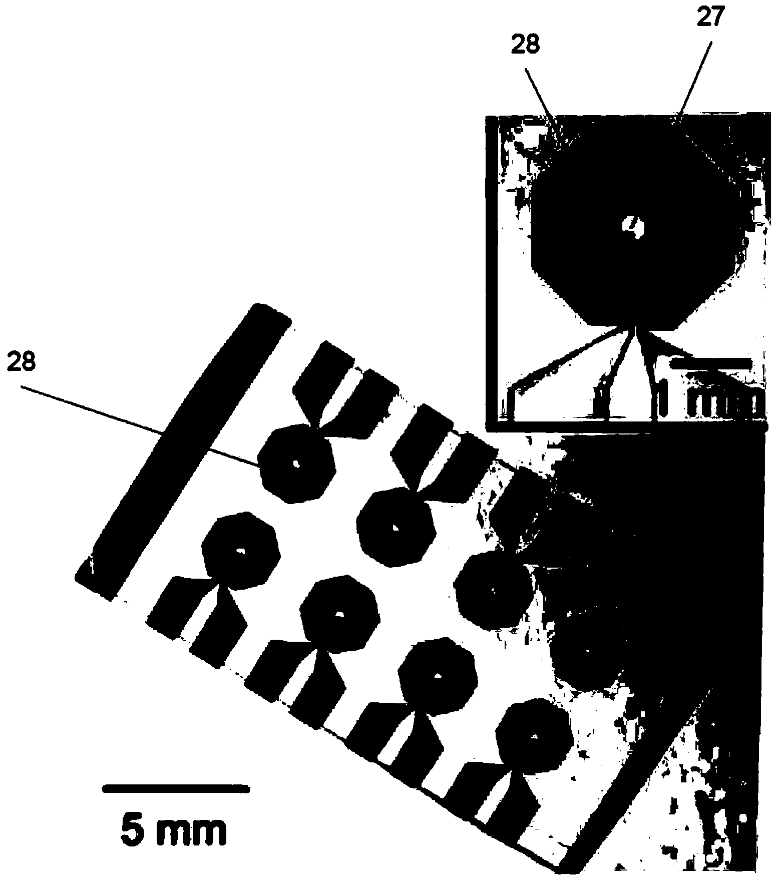 Detection of targets using magnetic resonance