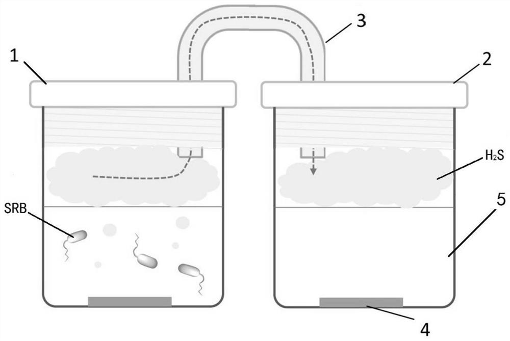 In-situ contrast experiment device and method for single-factor corrosion of gas in composite corrosion factors