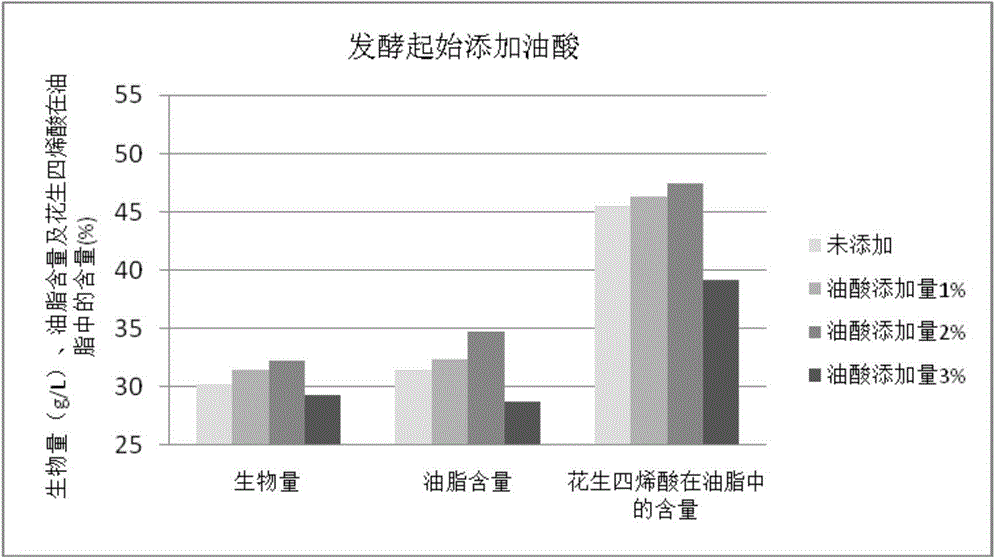 Method for improving yield of arachidonic acid through fermentation production of mortierella alpina