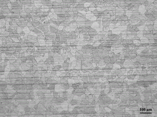 High-alloy austenitic stainless steel microscopic structure, sigma intermediate-phase color corrosive agent and corrosion method