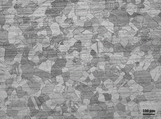 High-alloy austenitic stainless steel microscopic structure, sigma intermediate-phase color corrosive agent and corrosion method