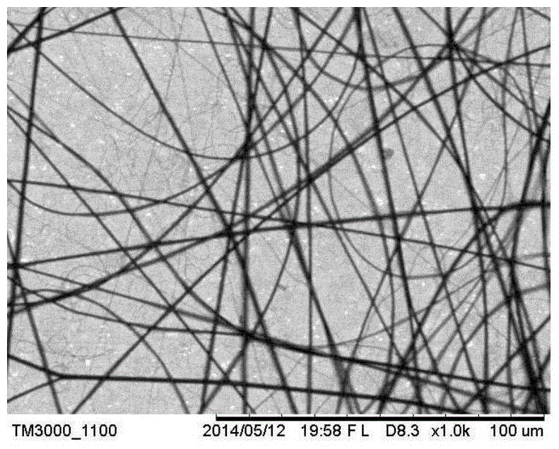 A kind of dendrimer/polyacrylic acid composite film and preparation method thereof