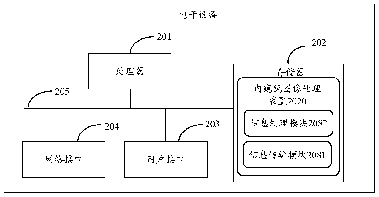 Endoscope image processing method and device, electronic equipment and storage medium