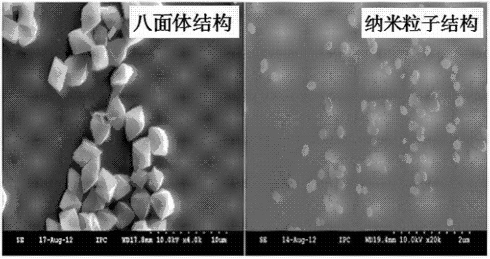 A method for preparing hydrophobic drug nanoparticles by ice template method