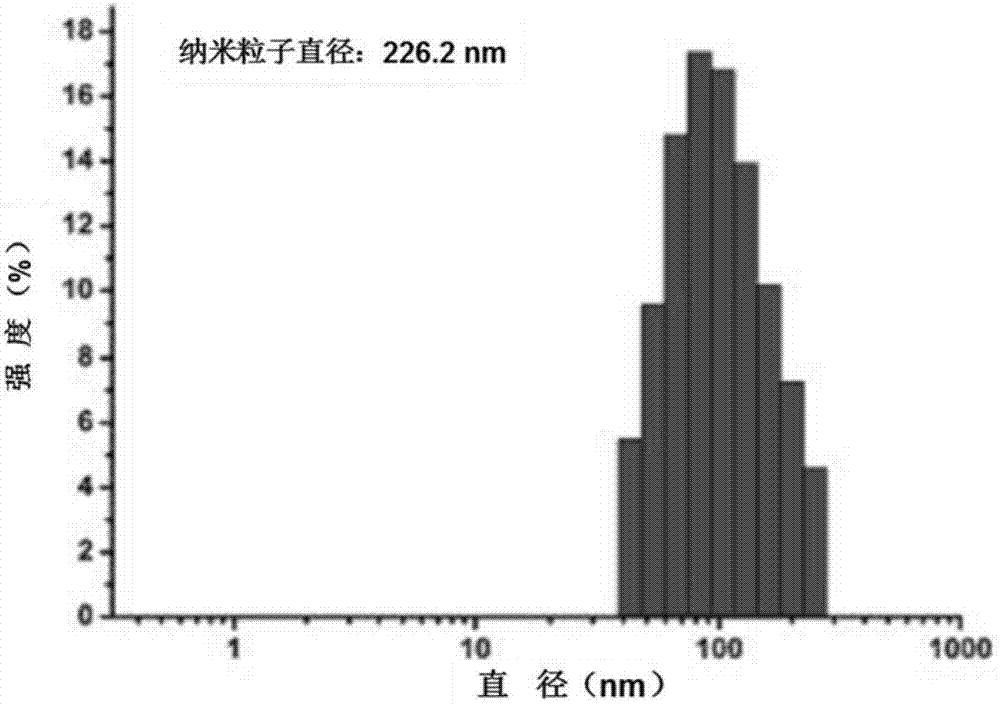 A method for preparing hydrophobic drug nanoparticles by ice template method