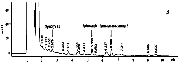 A high-yielding mutant of Saccharopolyspora chinensis butenyl spinosyn