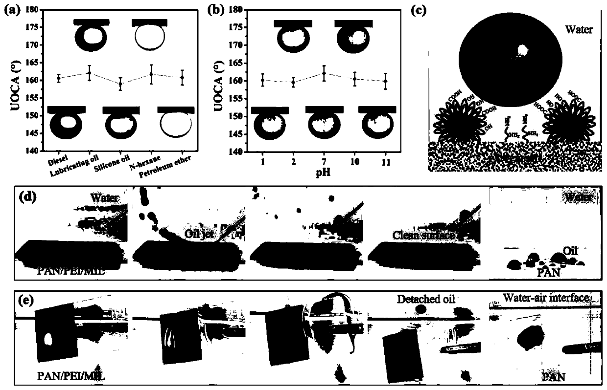 Oily sewage separation membrane with flower-like structure, and preparation method thereof