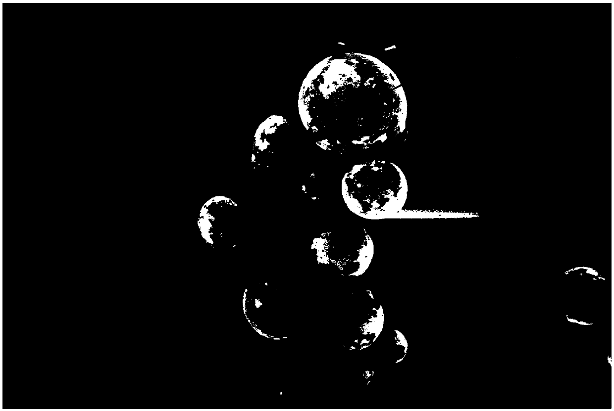 Preparation method of graphene-coated alloy powder composite material for 3D printing