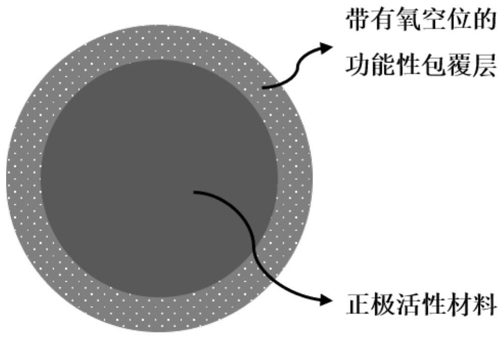 In-situ functional coated positive electrode material, preparation method thereof and all-solid-state lithium battery