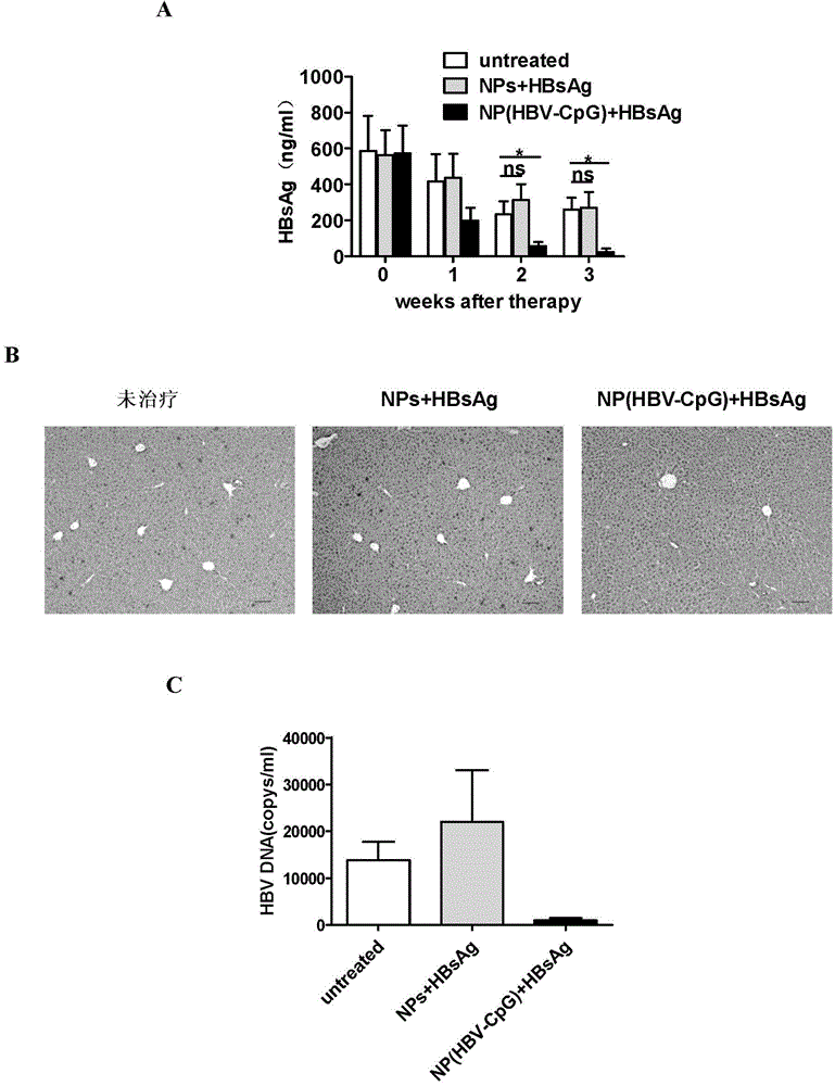 Application of PEG (polyethylene glycol)-PLA (Poly Lactic Acid) nano-material-coated HBV (Hepatitis B Virus)-CpG (Cytosine Phosphate Guanosine) in prevention and/or treatment of hepatitis B