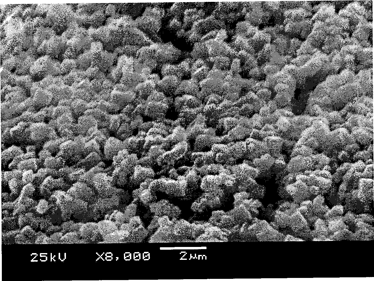 Novel composite conductive ceramic and method for producing the same