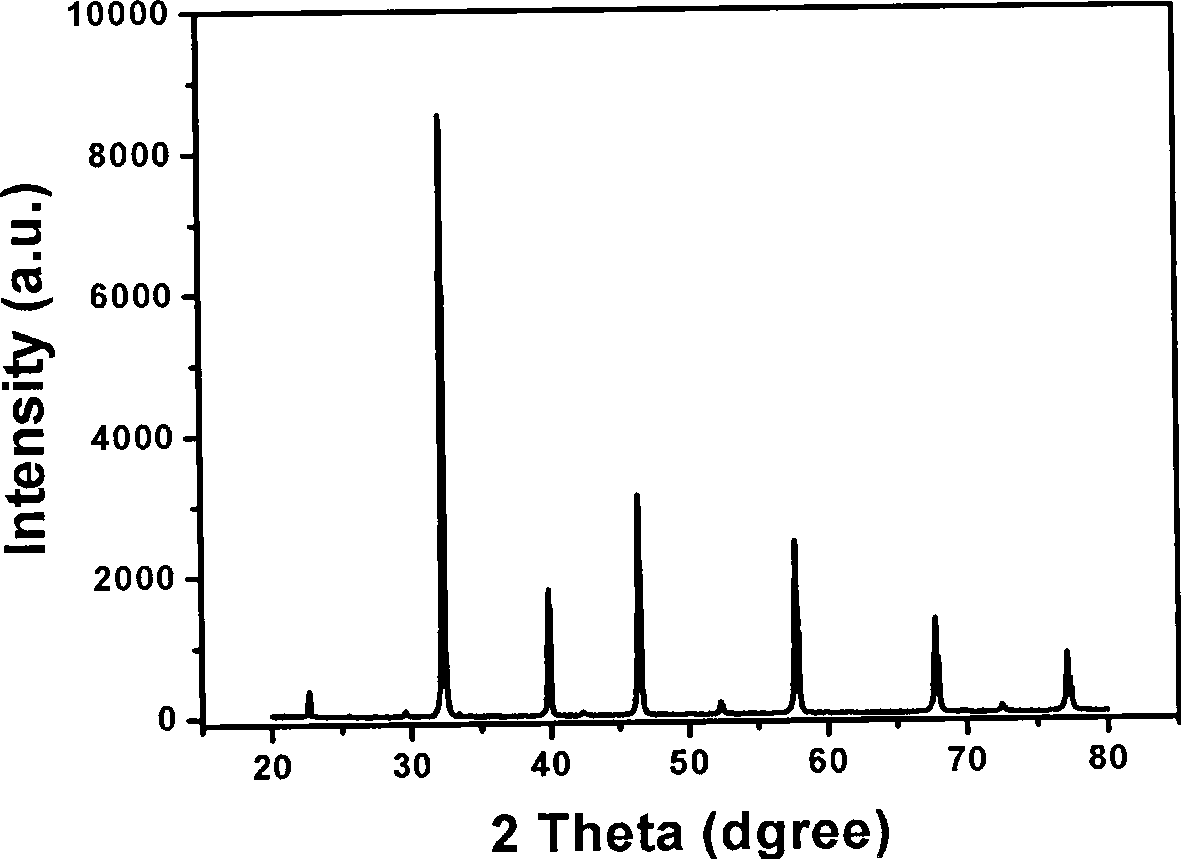 Novel composite conductive ceramic and method for producing the same