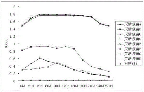 Porcine epidemic diarrhea inactivated vaccine and preparation method thereof