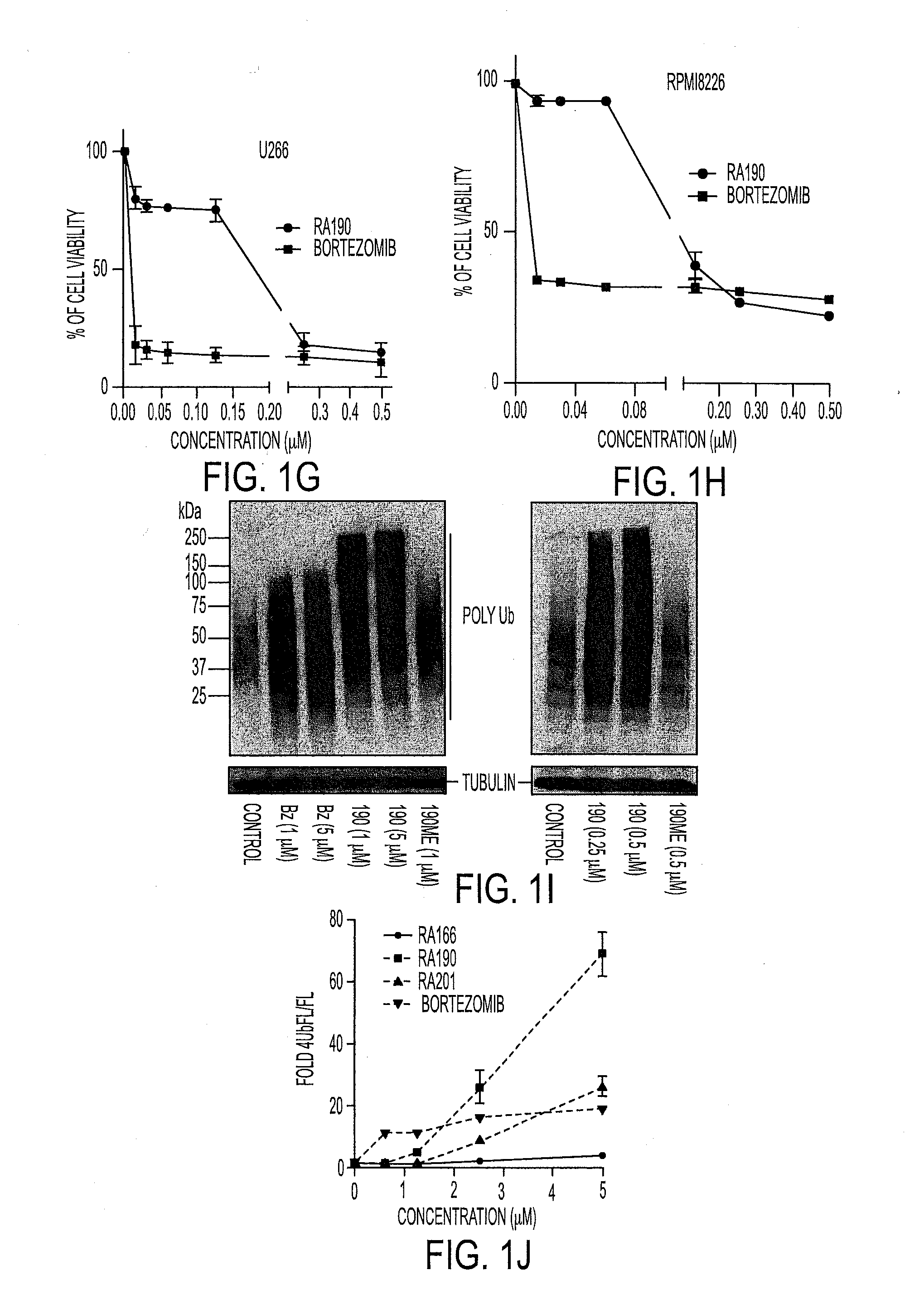 Novel bis-Benzylidine Piperidone Proteasome Inhibitor with Anticancer Activity