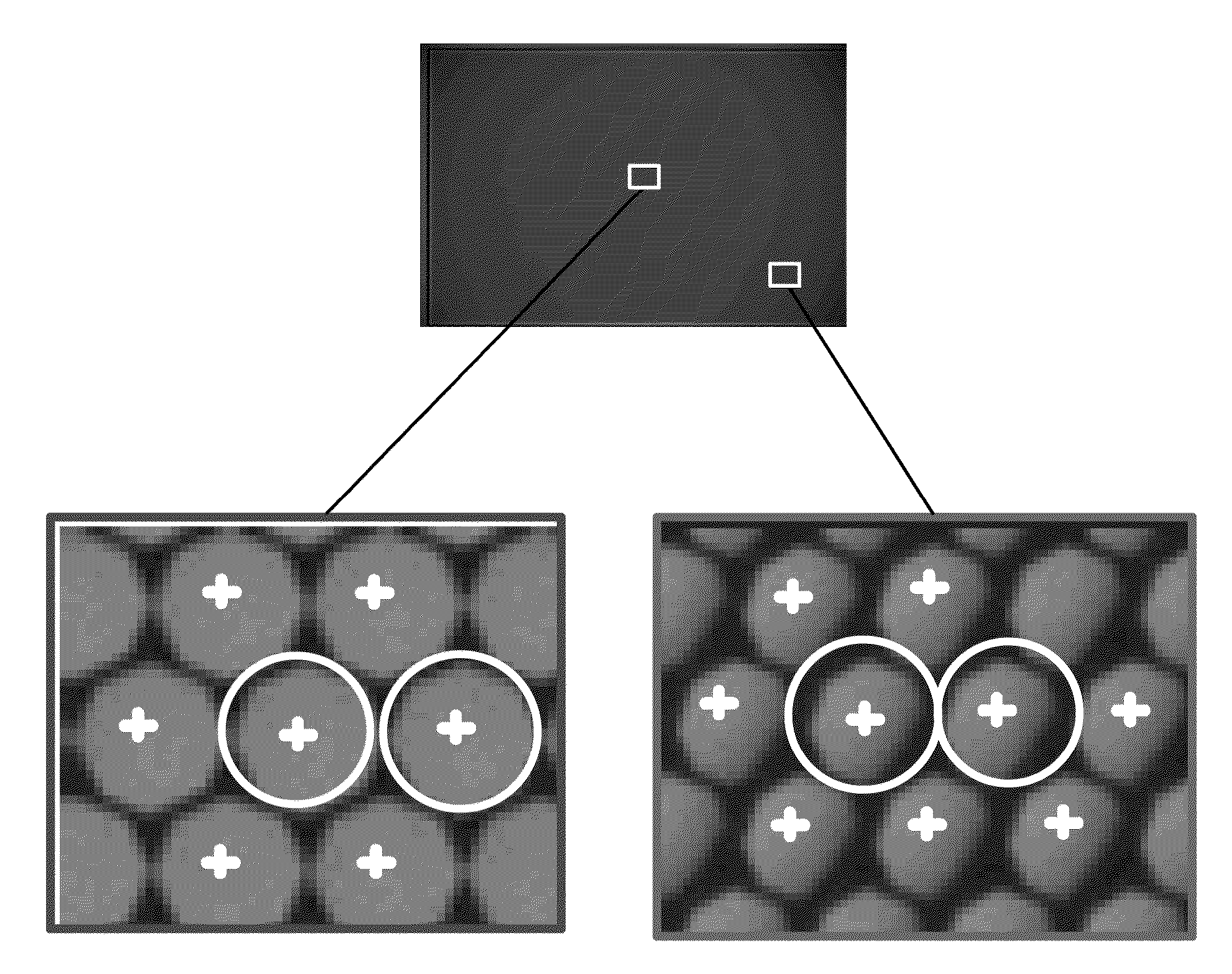 Object Space Calibration of Plenoptic Imaging Systems