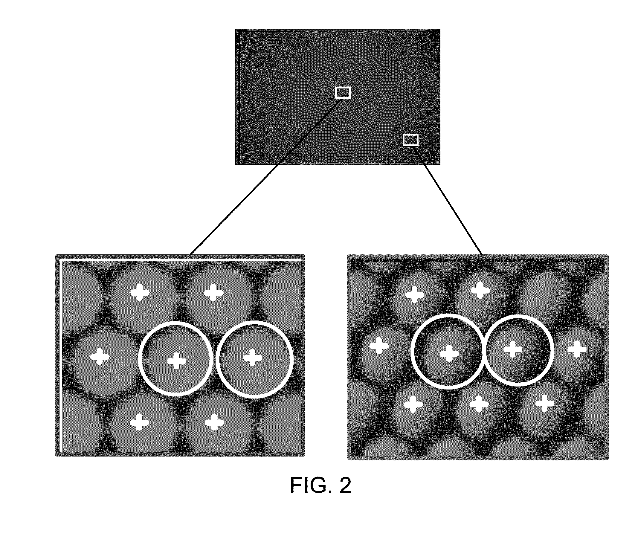 Object Space Calibration of Plenoptic Imaging Systems