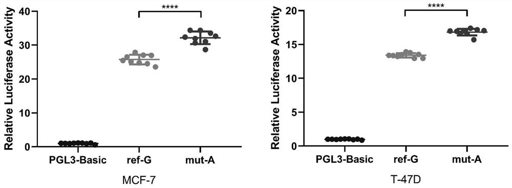 Markers and their application for predicting the efficacy of neoadjuvant chemotherapy in breast cancer patients