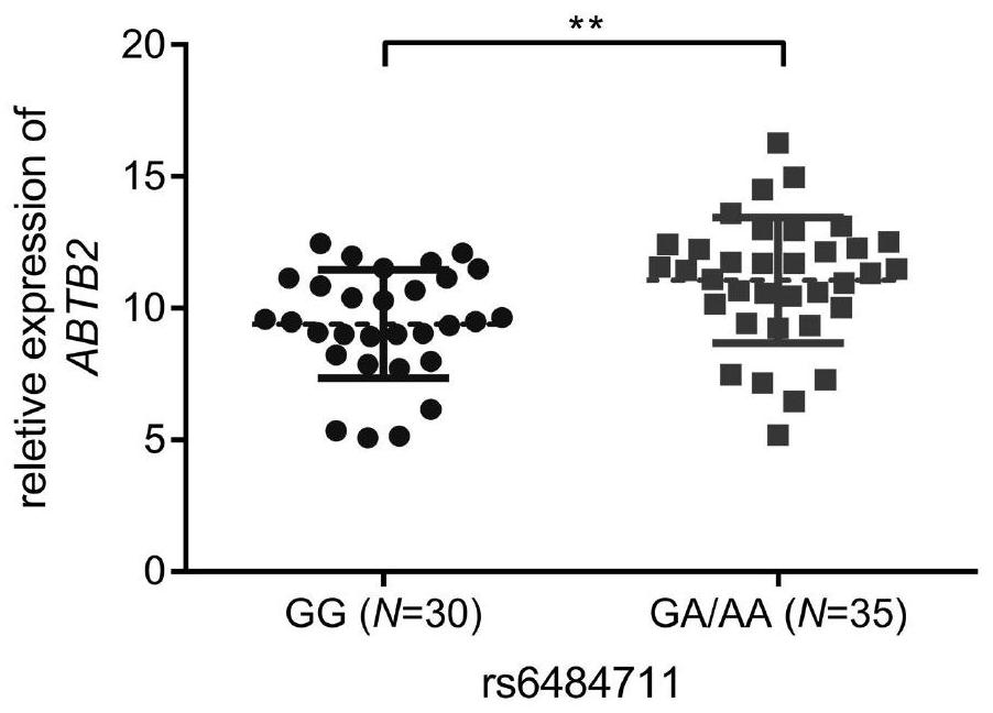 Markers and their application for predicting the efficacy of neoadjuvant chemotherapy in breast cancer patients