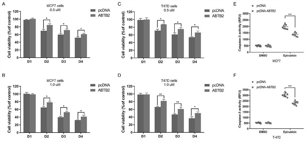 Markers and their application for predicting the efficacy of neoadjuvant chemotherapy in breast cancer patients