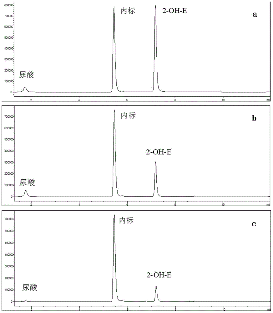 Method for simultaneously screening superoxide anion remover and xanthine oxidase inhibitor