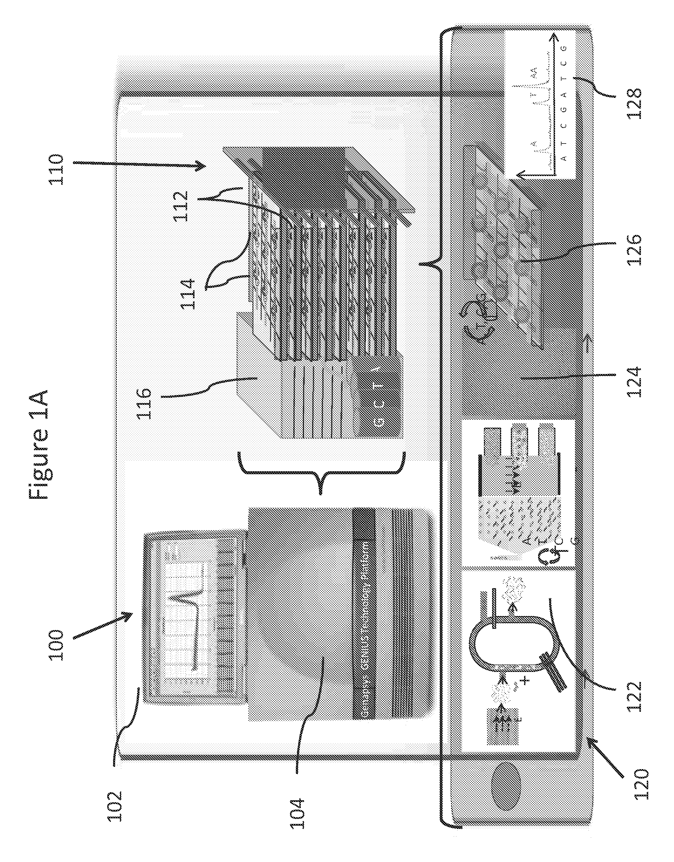 Systems and methods for genetic and biological analysis