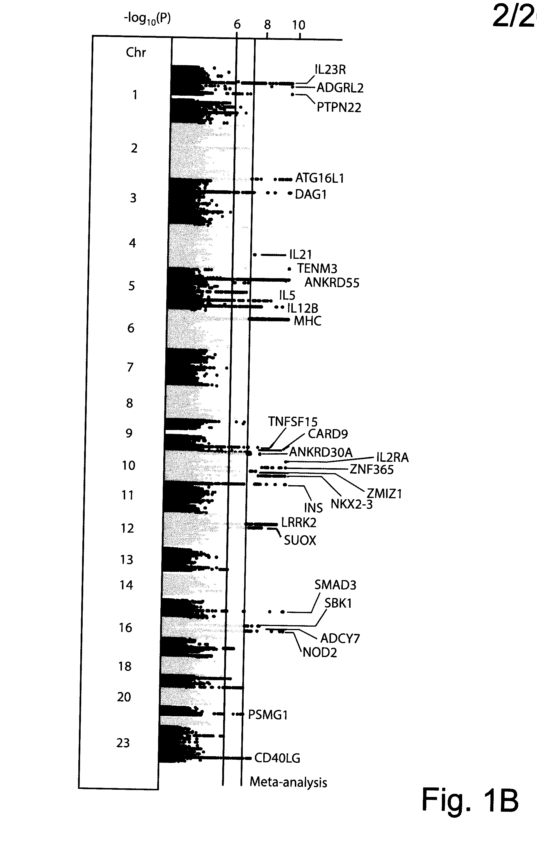 Compositions and Methods for Use in Combination for the Treatment and Diagnosis of Autoimmune Diseases