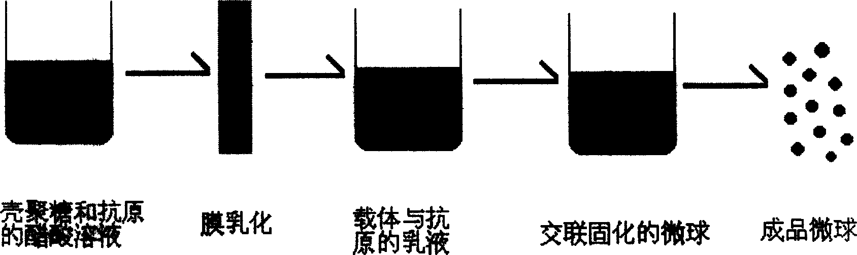 Chitose microsphere and microcapsule with uniform size and its preparation method