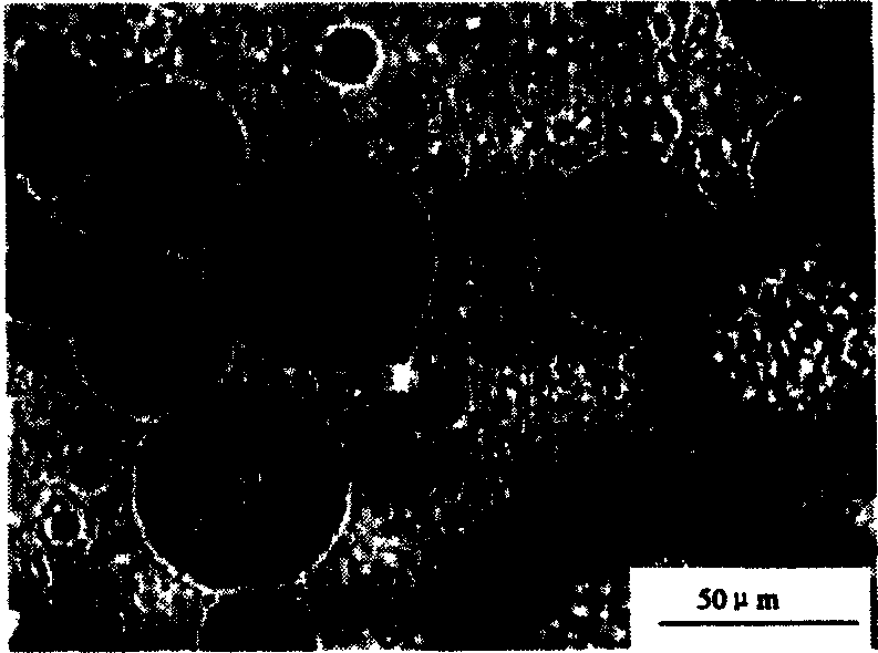 Chitose microsphere and microcapsule with uniform size and its preparation method