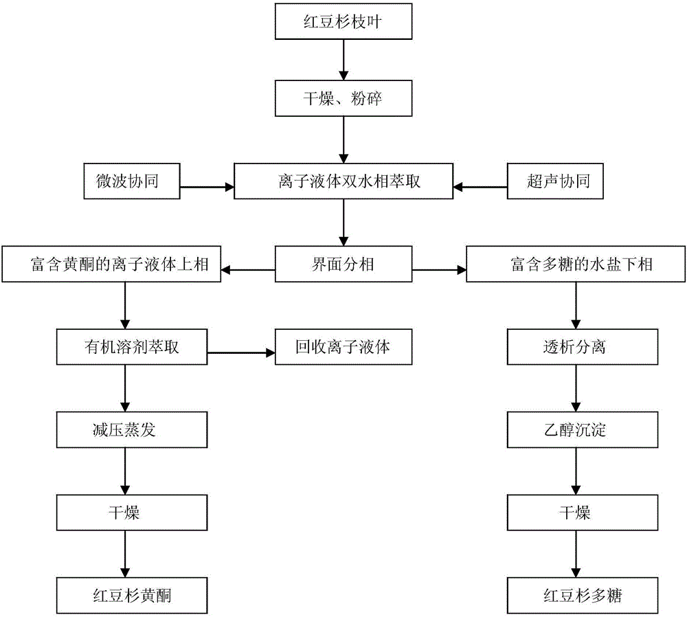 Extraction liquid for synchronously extracting flavone and polysaccharide of taxus chinensis and method thereof