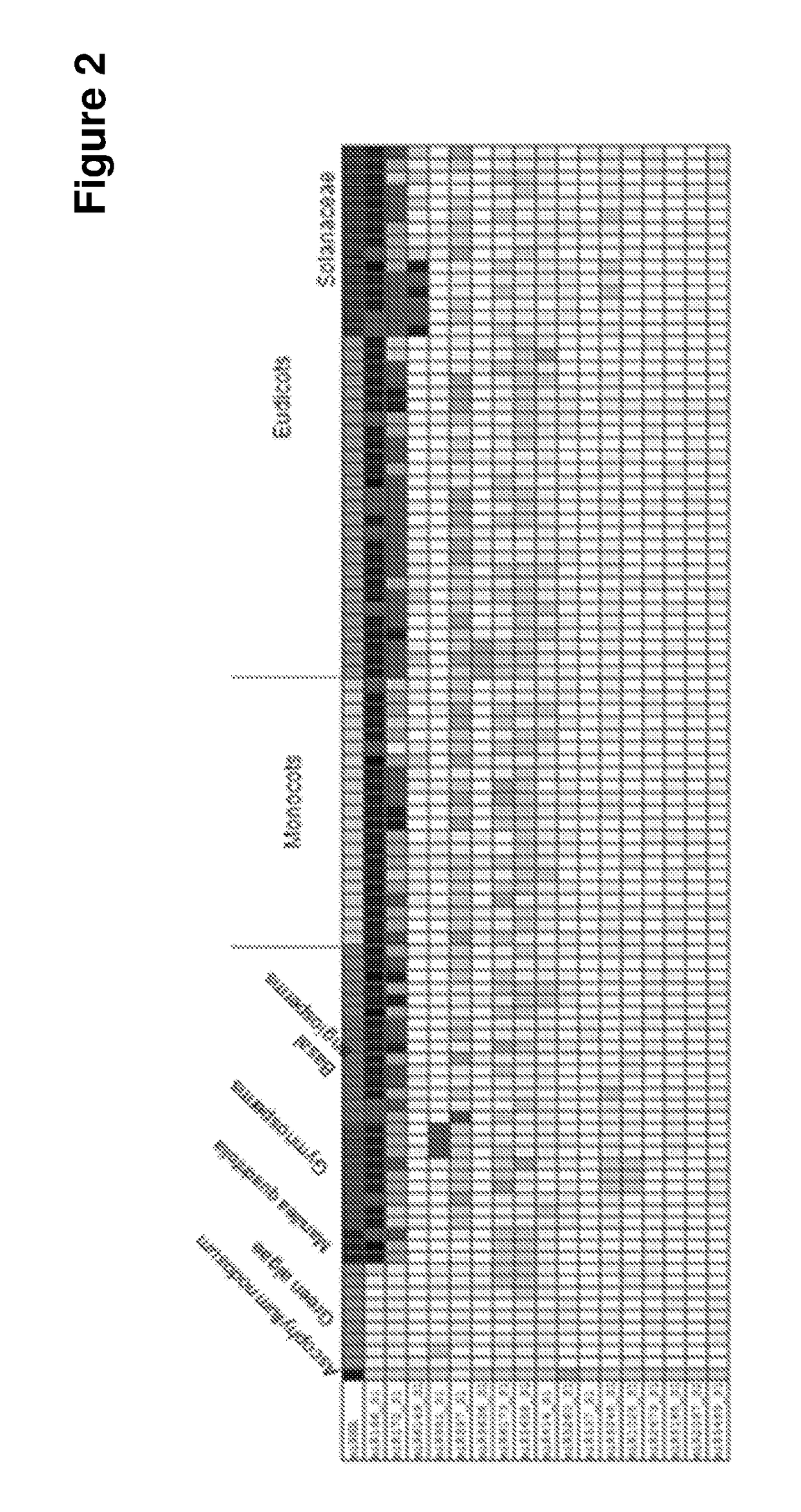 Method for modulating plant processes