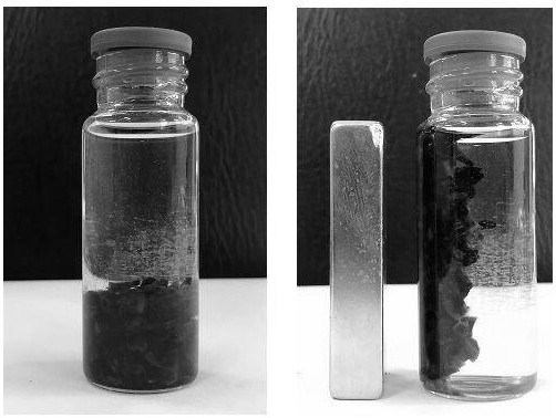 Preparation of a magnetic chitosan semi-interpenetrating heat-expandable hydrogel and its application in cr(vi) adsorption