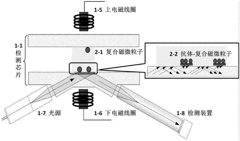 Optic detector based on electric control magnet enrichment-separation and total internal reflection magnetic imaging