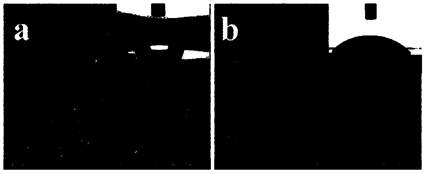 Method for surface modification of hydrophobic polymer microporous membrane