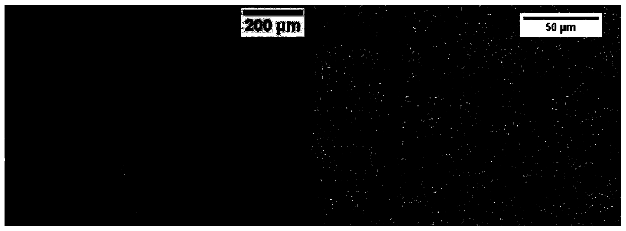 Additive manufacturing method for reducing anisotropy and its b-added titanium alloy additive material