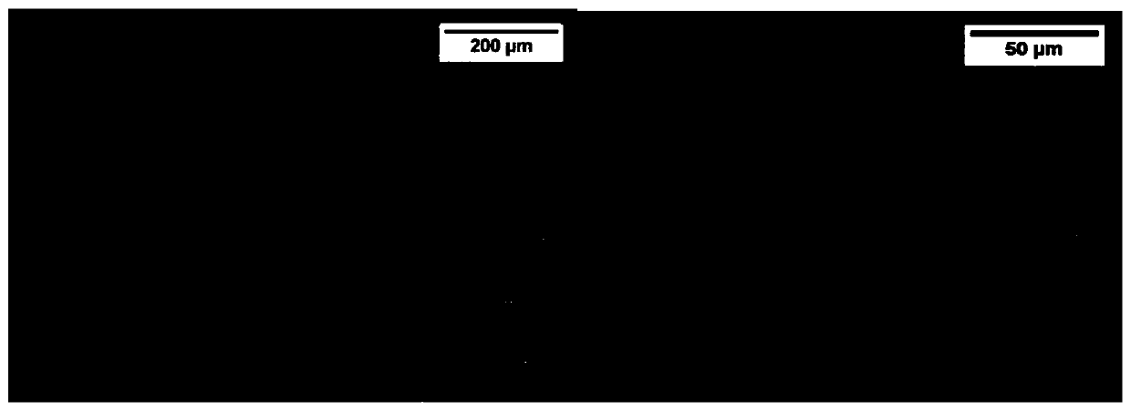 Additive manufacturing method for reducing anisotropy and its b-added titanium alloy additive material