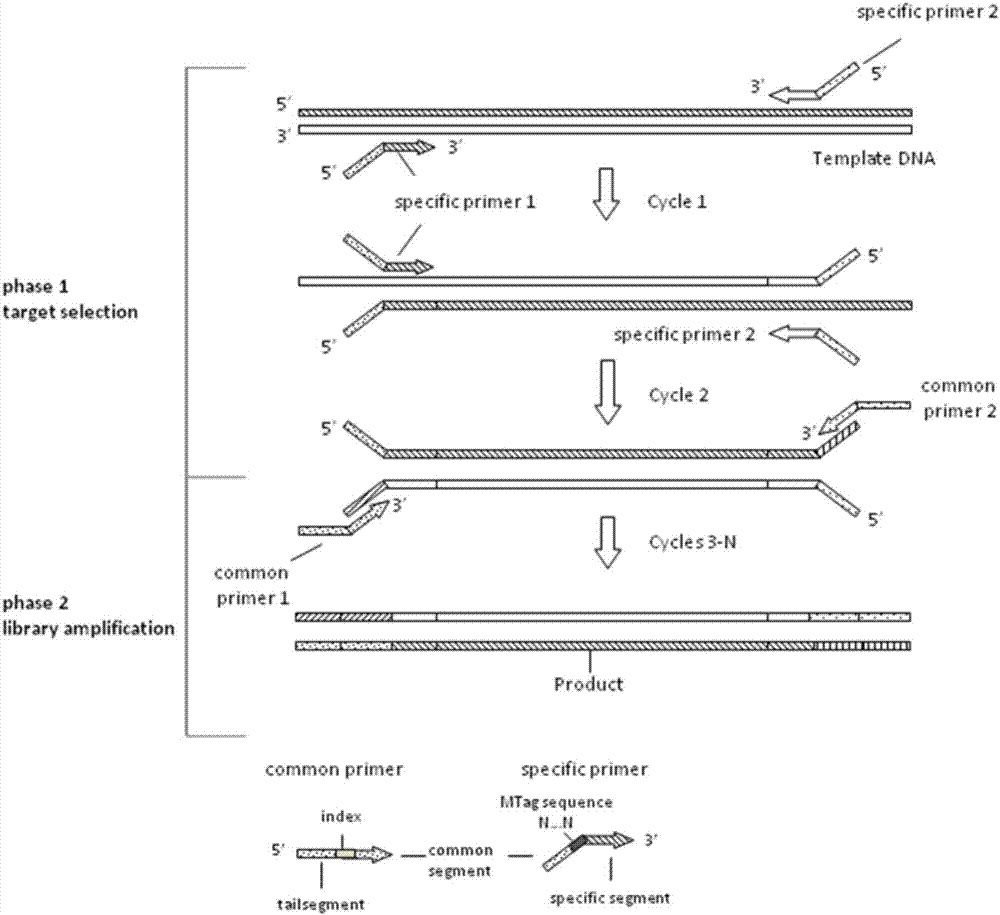 Method and kit for detecting mutation of EGFR gene