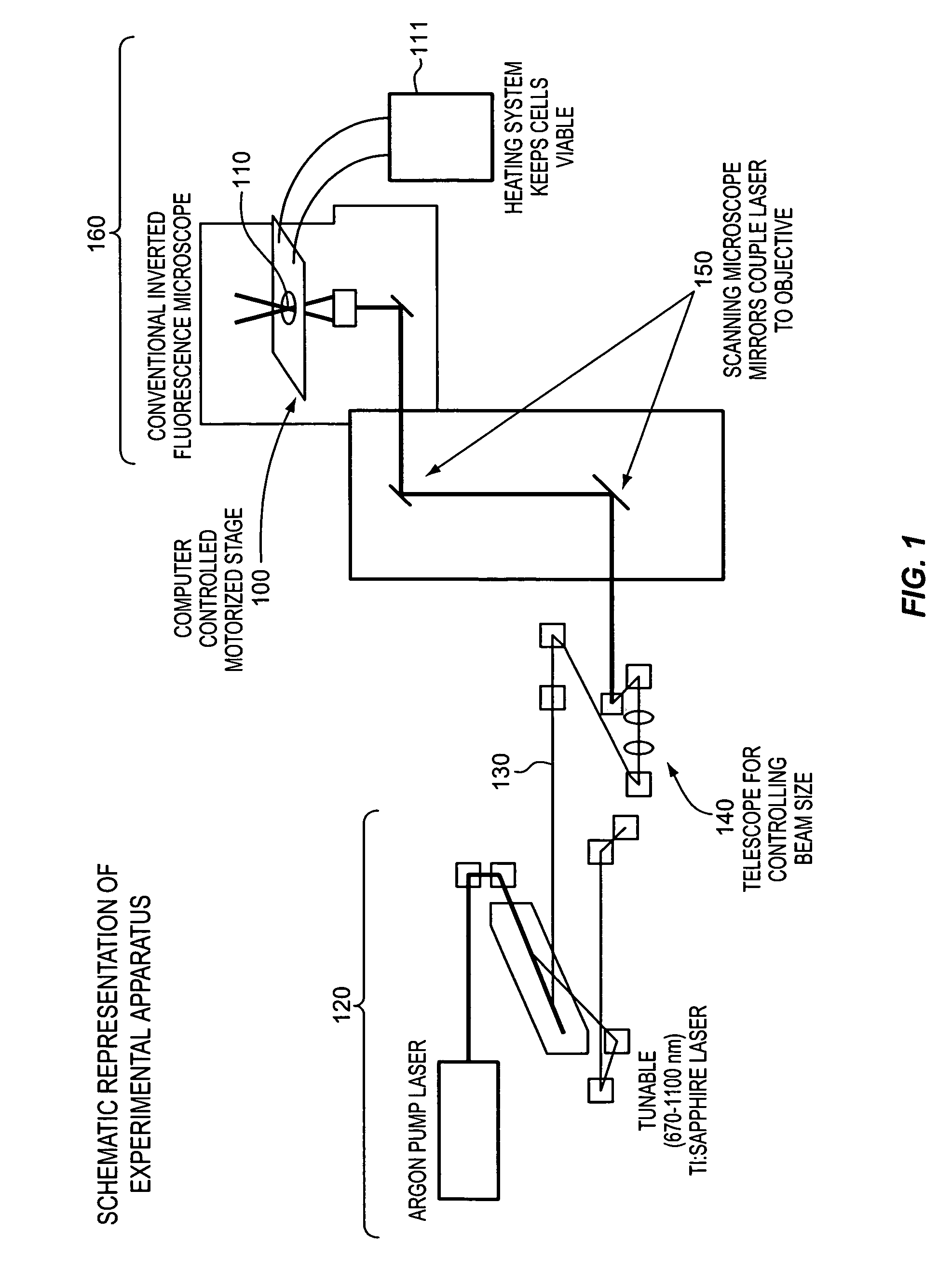 Optical cell guidance method and apparatus