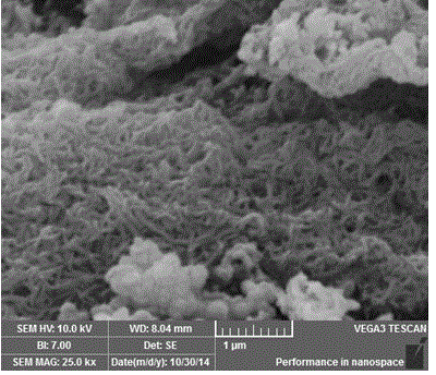 Preparation method of polyaniline and derivative nanofiber