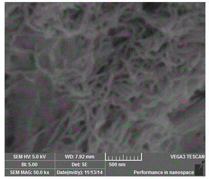 Preparation method of polyaniline and derivative nanofiber