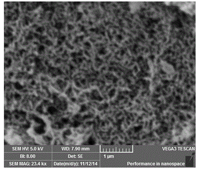 Preparation method of polyaniline and derivative nanofiber