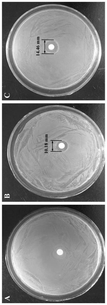 Intelligent release-type protein metal ion antibacterial nanoparticle and preparation method thereof