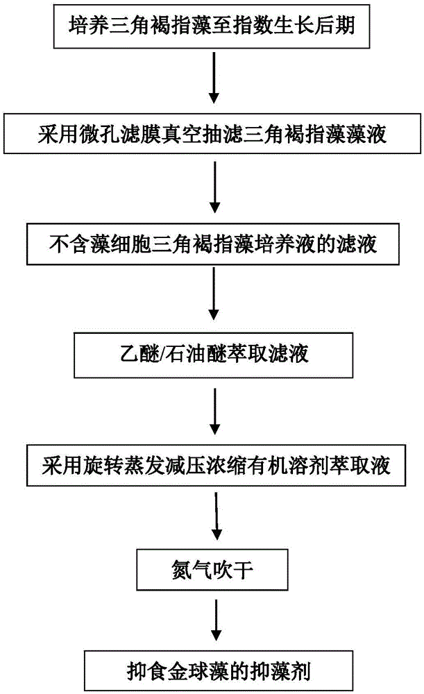 Aureococcus anophagefferens algistat and preparation method for same