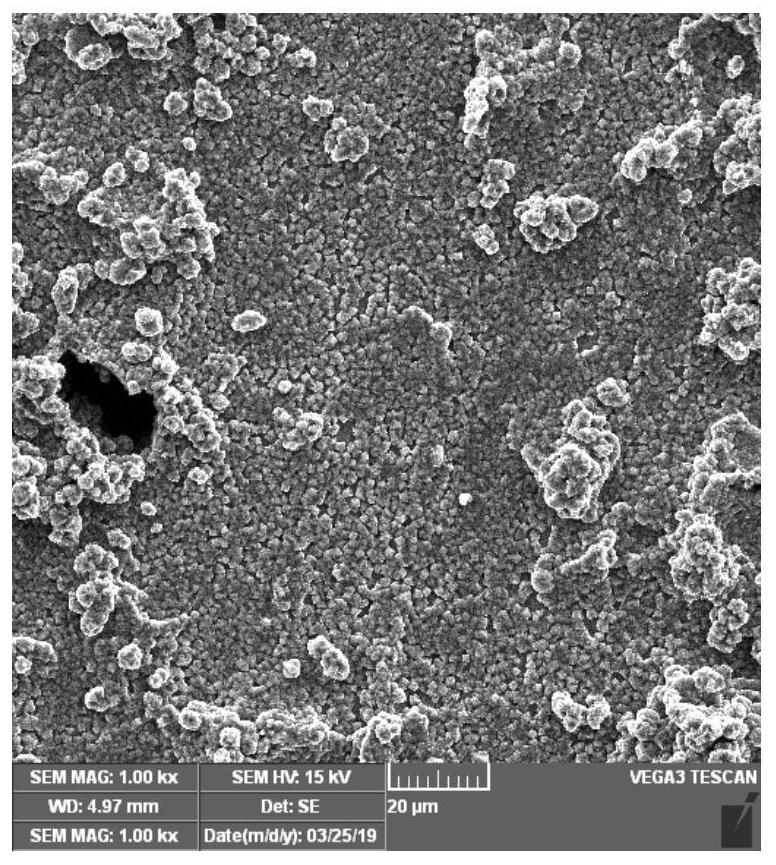 Method for In Situ Fabrication of Titanium Dioxide Thin Films Exposing High Energy Crystal Facets