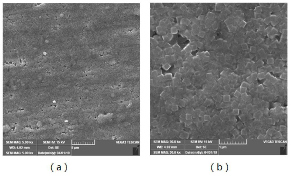 Method for In Situ Fabrication of Titanium Dioxide Thin Films Exposing High Energy Crystal Facets