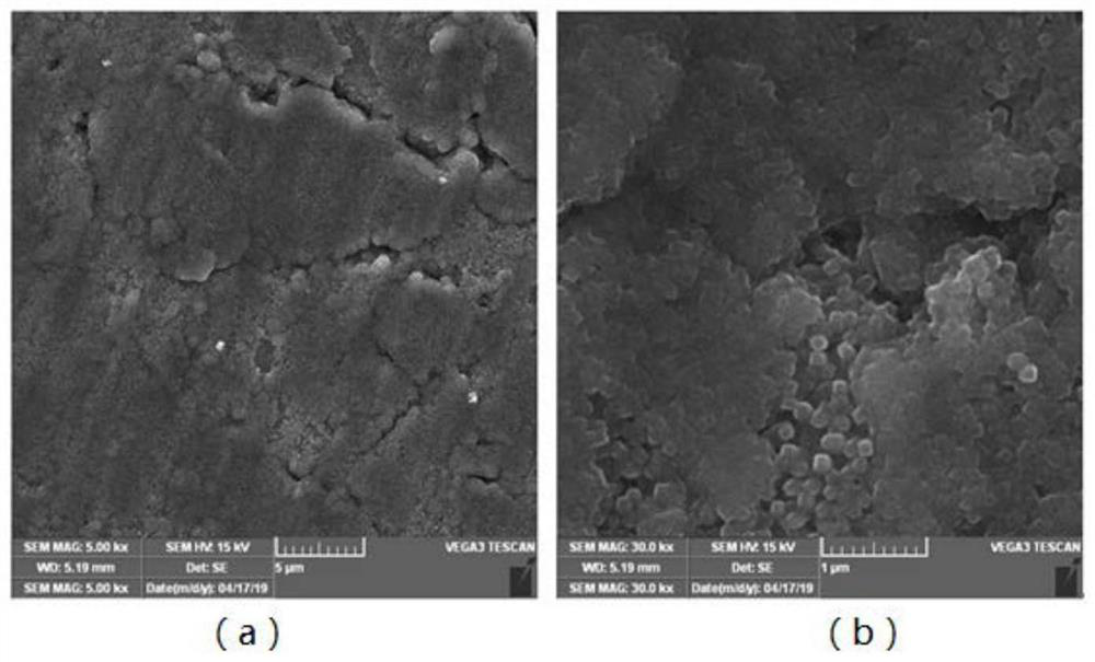 Method for In Situ Fabrication of Titanium Dioxide Thin Films Exposing High Energy Crystal Facets