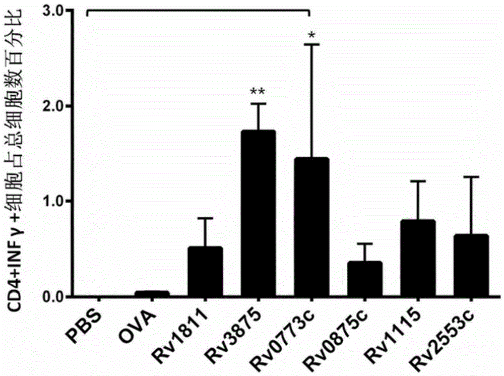 Tuberculosis immunodiagnosis molecular marker and vaccine use thereof