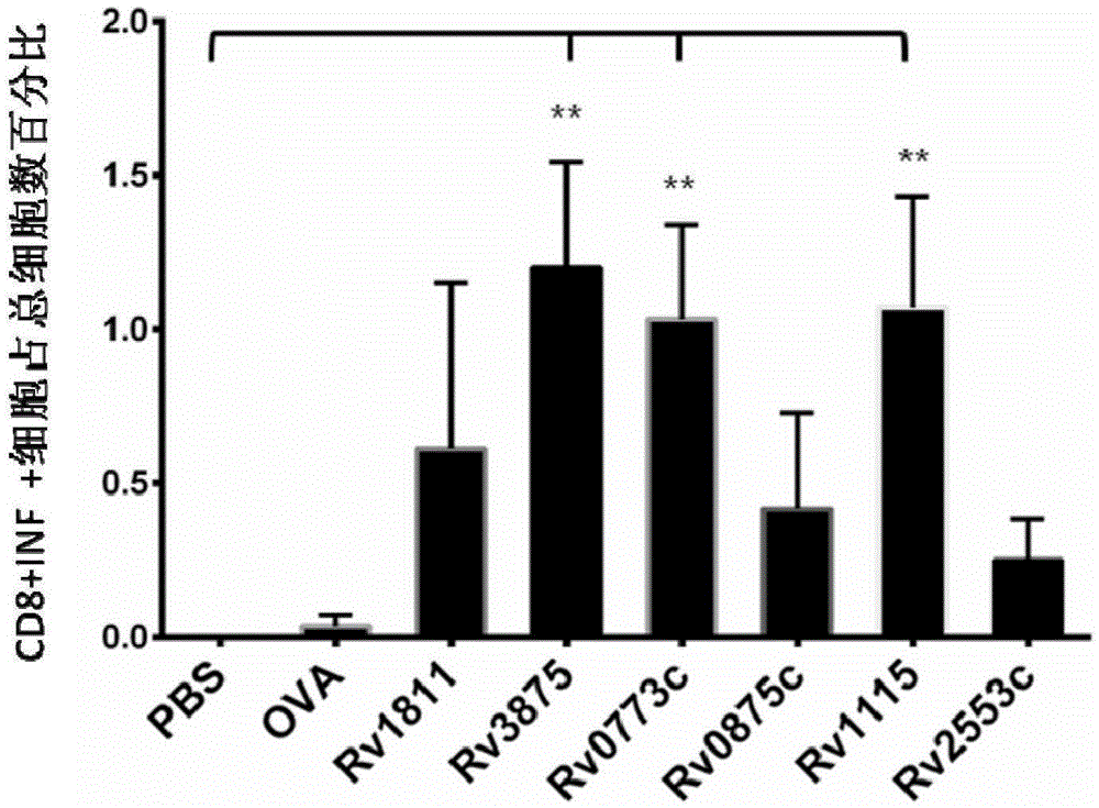 Tuberculosis immunodiagnosis molecular marker and vaccine use thereof