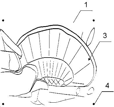 Counterfeit planar 3D false target and device and method for counterfeiting the counterfeit planar 3D false target