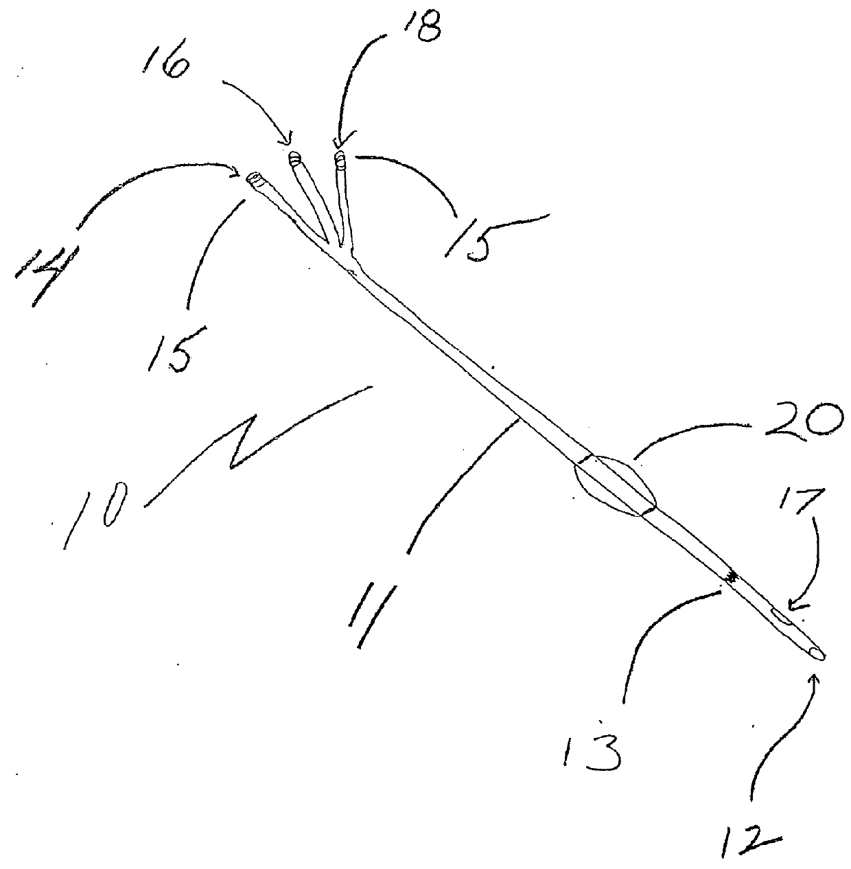 Dual lumen microcatheter